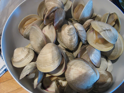 clams
